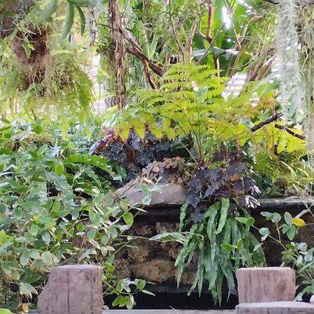 Sareeviengping Hotel Chiangmai Chiang Mai Esterno foto
