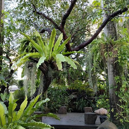 Sareeviengping Hotel Chiangmai Chiang Mai Esterno foto