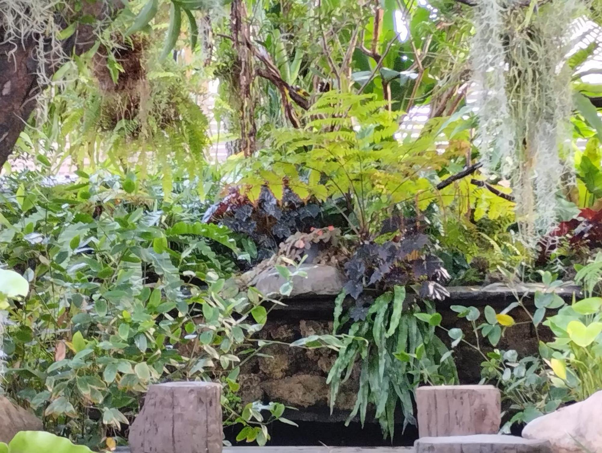 Sareeviengping Hotel Chiangmai Chiang Mai Esterno foto